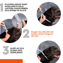 Ladda upp bild till gallerivisning, Avmaskningshalsband för husdjur