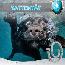 Ladda upp bild till gallerivisning, Justerbar insektsavvisande halsband för husdjur