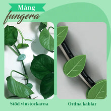Ladda upp bild till gallerivisning, Plant Climbing Artifact Fixing Clip