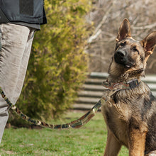 Ladda upp bild till gallerivisning, Hundhalsband med handtag