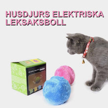 Ladda upp bild till gallerivisning, Husdjurs elektrisk boll leksak med plysch överdrag