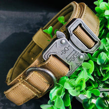 Ladda upp bild till gallerivisning, Hundhalsband med handtag