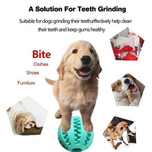 Ladda upp bild till gallerivisning, Dog Chewing Rubber Ball