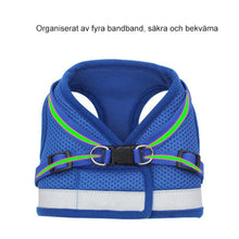 Ladda upp bild till gallerivisning, Reflekterande Bröstrem för Husdjur