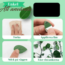 Ladda upp bild till gallerivisning, Plant Climbing Artifact Fixing Clip