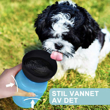 Ladda upp bild till gallerivisning, Hundvattenflaska
