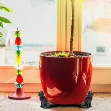 Ladda upp bild till gallerivisning, Söta djurformade pottfötter (3 sats)