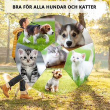 Ladda upp bild till gallerivisning, Hirundo® Elektrisk Kam Husdjur