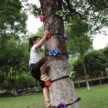 Ladda upp bild till gallerivisning, Kids Backyard Rock Climbing Kit