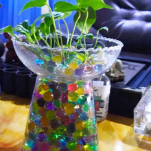 Ladda upp bild till gallerivisning, Crystal Water Bead