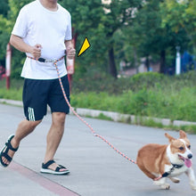 Ladda upp bild till gallerivisning, Handsfree hundkoppel