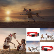 Ladda upp bild till gallerivisning, LED Hundhalsband
