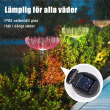 Ladda upp bild till gallerivisning, Soldrivet fiberoptiskt ljus