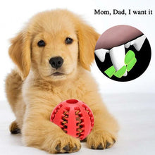 Ladda upp bild till gallerivisning, Dog Chewing Rubber Ball