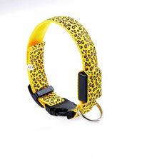 Ladda upp bild till gallerivisning, LED lysande hundhalsband