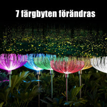 Ladda upp bild till gallerivisning, Soldrivet fiberoptiskt ljus