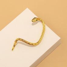 Ladda upp bild till gallerivisning, Kreativa serpentin zirkon örhängen