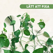 Ladda upp bild till gallerivisning, Plant Climbing Artifact Fixing Clip