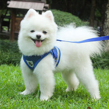 Ladda upp bild till gallerivisning, Reflekterande Bröstrem för Husdjur