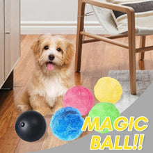 Ladda upp bild till gallerivisning, Hirundo® Magic Ball for Dogs