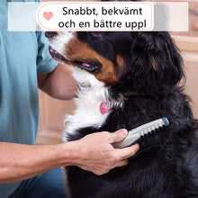 Ladda upp bild till gallerivisning, Hirundo® Elektrisk Kam Husdjur