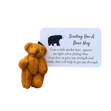 Ladda upp bild till gallerivisning, En liten Pocket kram björn
