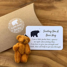 Ladda upp bild till gallerivisning, En liten Pocket kram björn