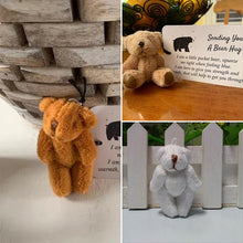 Ladda upp bild till gallerivisning, En liten Pocket kram björn