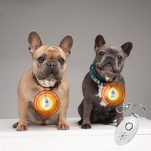 Ladda upp bild till gallerivisning, Ultraljudsskydd för loppor och fästingar