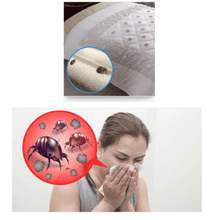 Ladda upp bild till gallerivisning, Dust Mite Killing Pad