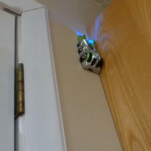 Ladda upp bild till gallerivisning, Anti-Gravity Radiostyrd bil (3+)