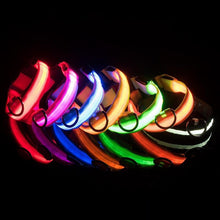 Ladda upp bild till gallerivisning, LED Hundhalsband