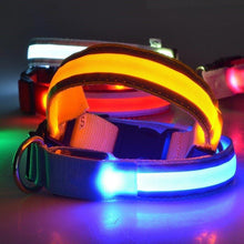 Ladda upp bild till gallerivisning, LED Hundhalsband