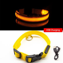 Ladda upp bild till gallerivisning, LED Hundhalsband