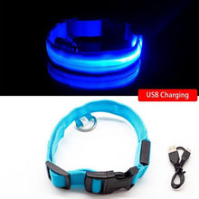 Ladda upp bild till gallerivisning, LED Hundhalsband