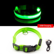 Ladda upp bild till gallerivisning, LED Hundhalsband