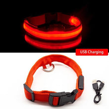 Ladda upp bild till gallerivisning, LED Hundhalsband