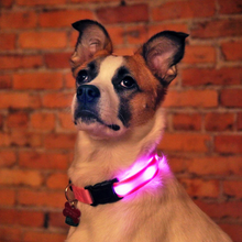 Ladda upp bild till gallerivisning, LED Hundhalsband