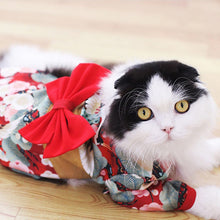 Ladda upp bild till gallerivisning, Husdjurs kimono
