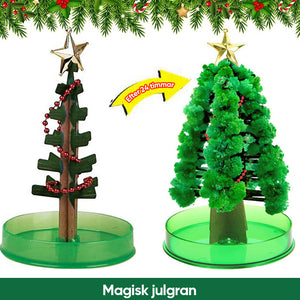 3 i 1 Mini julgran magisk växande