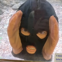 Ladda upp bild till gallerivisning, Skrämmande Peeper Creeper
