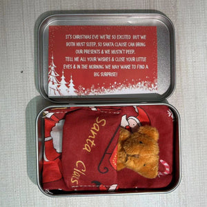 Nallebjörn julklapp