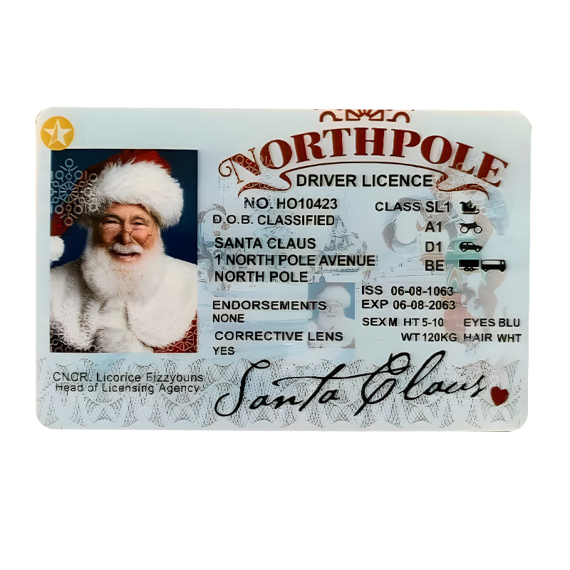 🎅Tomtens förlorade körkort