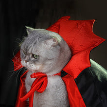 Ladda upp bild till gallerivisning, Halloween Dracula husdjurskostym

