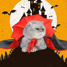 Ladda upp bild till gallerivisning, Halloween Dracula husdjurskostym
