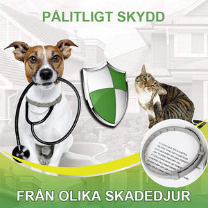 Avmaskningshalsband för husdjur