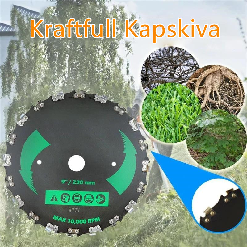 Kapskiva 7 