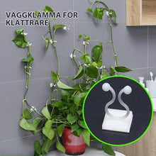 Ladda upp bild till gallerivisning, Väggklämma för klätterväxt
