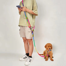 Ladda upp bild till gallerivisning, Handsfree hundkoppel
