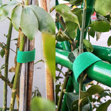 Ladda upp bild till gallerivisning, Self-Attaching Nylon Cable Ties

